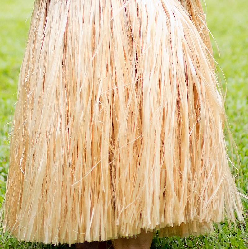 Professional Tahitian More' Costume - Option A Details - Aloha Hula Supply