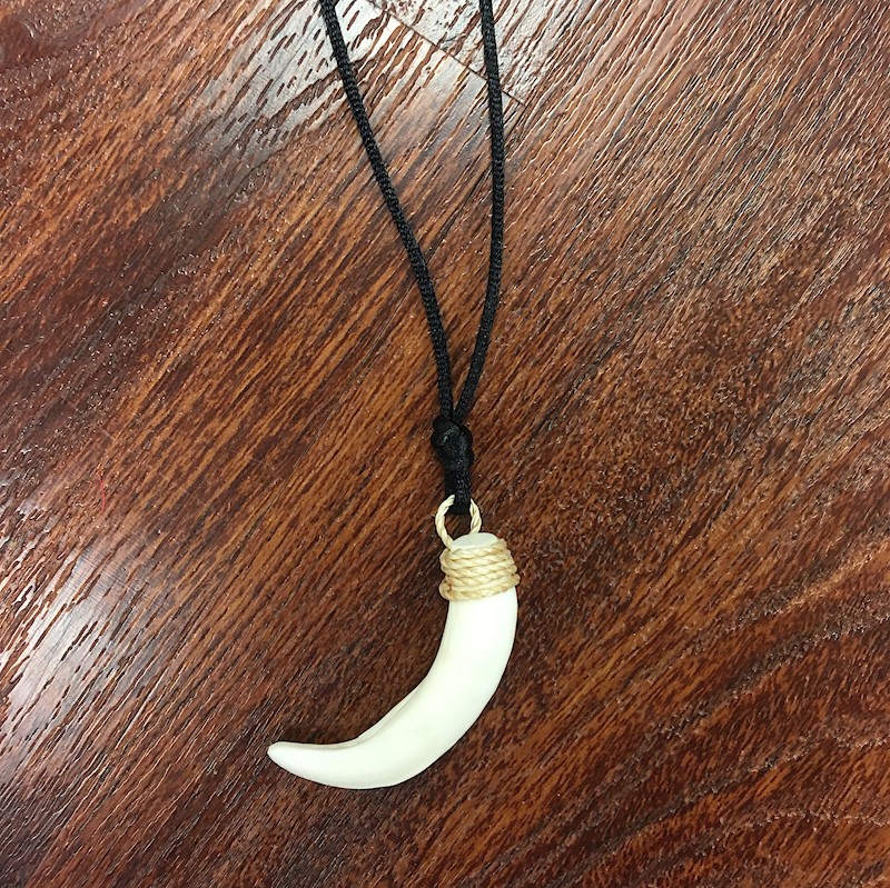 pig tusk necklace