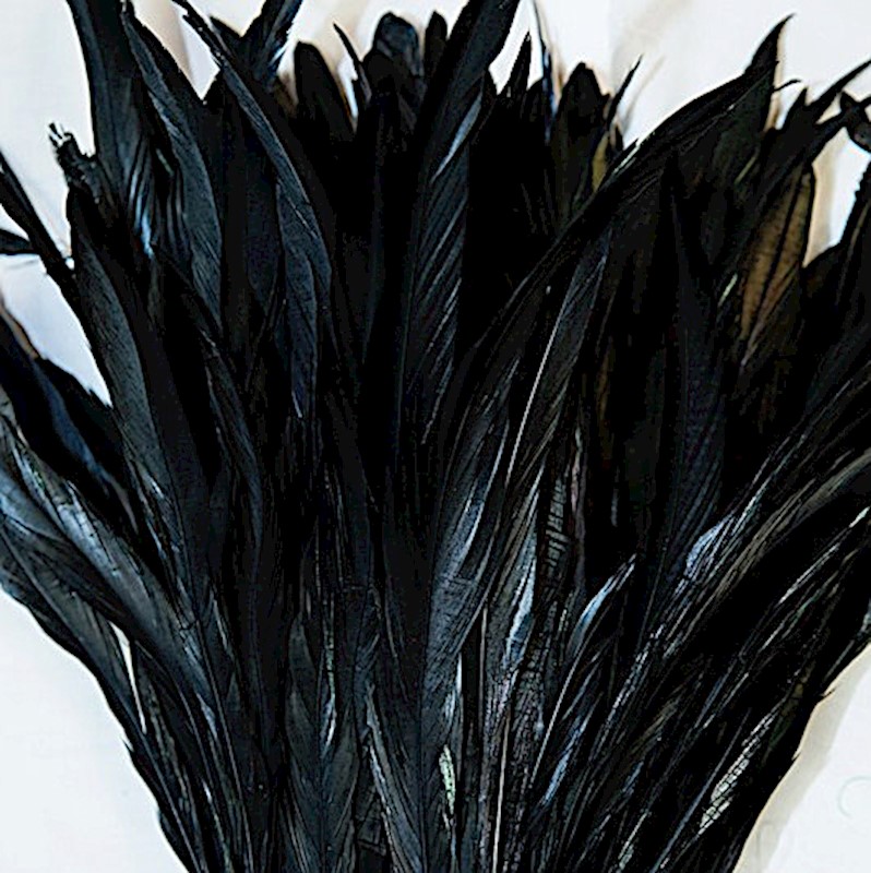 Rooster Tail Feathers - Black Details - Aloha Hula Supply