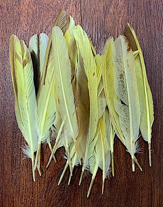 Yellow/Brown Goose Feathers Details - Aloha Hula Supply