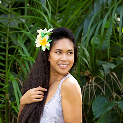 White Hawaiian Hair Flowers Cheap, HD Png Download - vhv