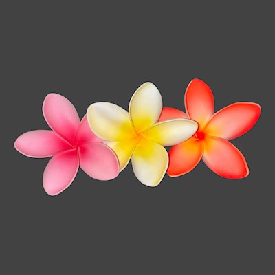 Large Plumeria Pick                                                        