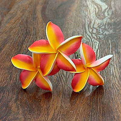 Sunset Plumeria Pick                                                       