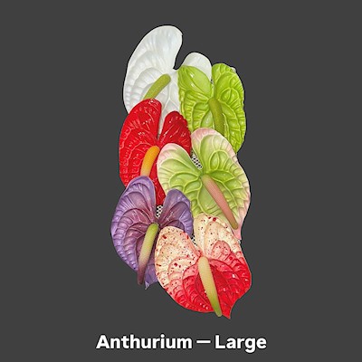 Large Anthurium Pick                                                       