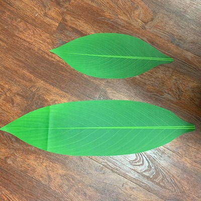 Silk Ti Leaf Package                                                       