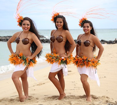 Hawaiian Coconut Bra – AbracadabraNYC