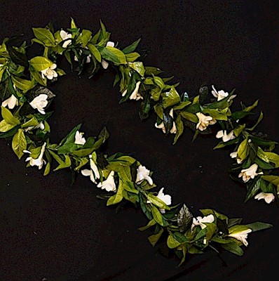 TUBEROSE MAILE LEI Details - Aloha Hula Supply