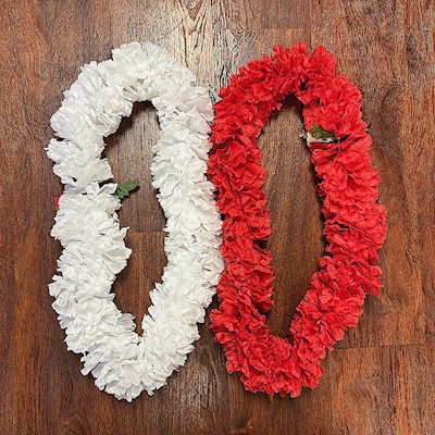 Double Carnation Lei                                                       