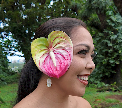 Large Waxed Anthurium Pick                                                 