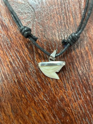 Child Shark Tooth Necklace                                                 