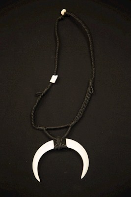 pig tusk necklace